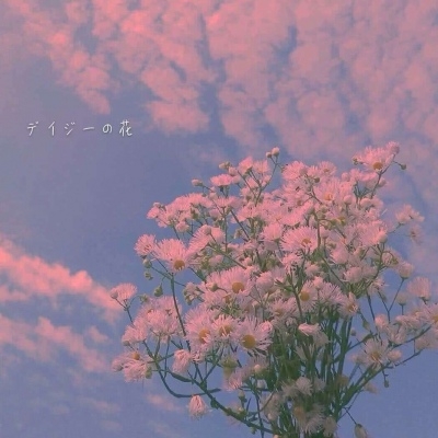 温柔且浪漫的ins小雏菊粉色图片