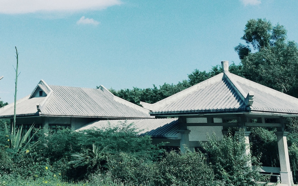 绿色日系滤镜小清新唯美图片