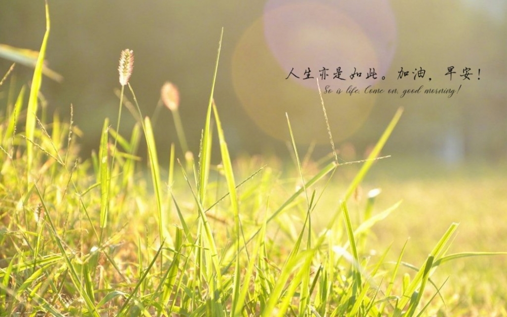 早安语录配图小清新图片大全