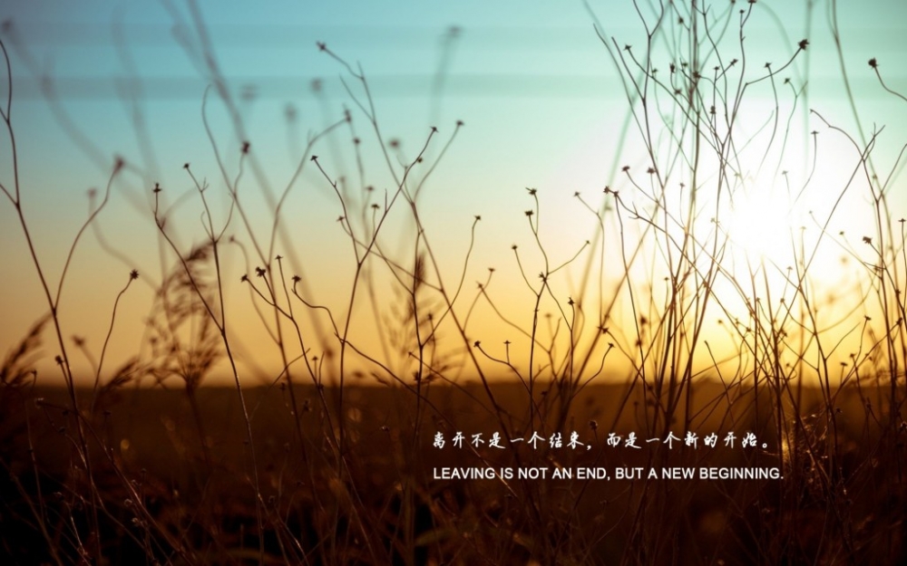 高三党毕业季伤感校园离别的文字控唯美小清新风景图片