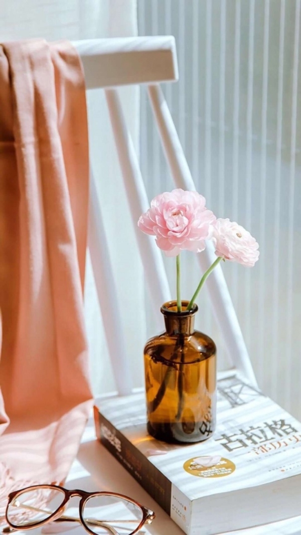 插在花瓶里的粉色玫瑰花小清新ins风简约唯美手机锁屏壁纸